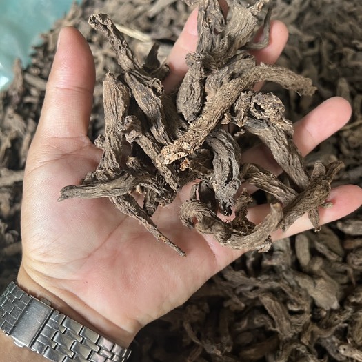 东兴市红大吉 红芽大戟  红大戟长期有货质量保证