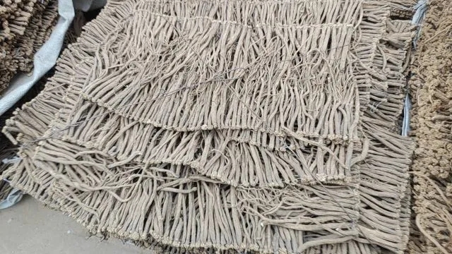 渭源县自家货源地党参出货