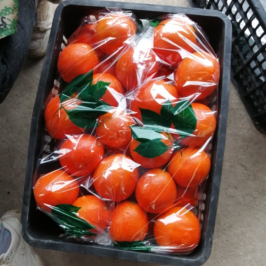 保靖县纽荷尔