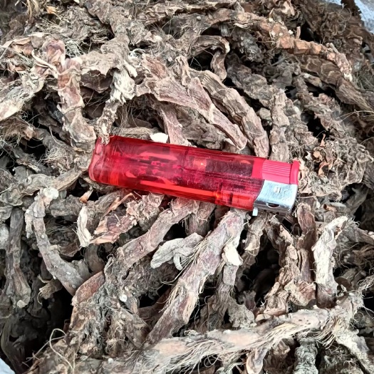 宜昌批发石菖蒲