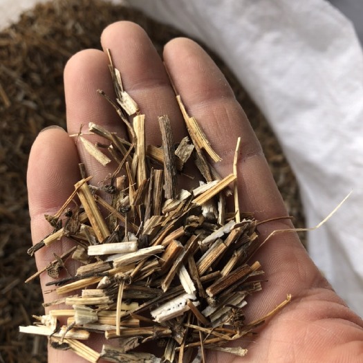 长葛市鬼针草，全部都是切好的，过完筛子