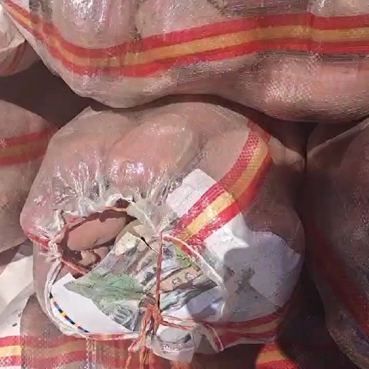 沽源县黄心土豆