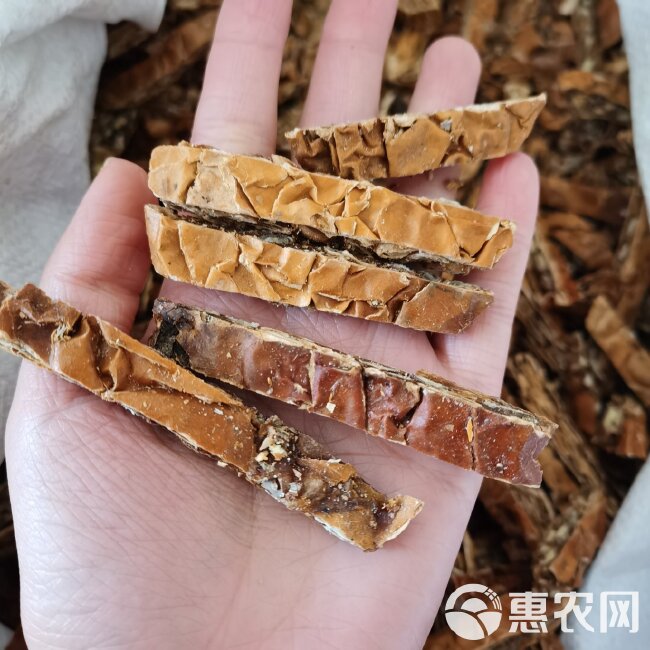 【永发药业】瓜蒌 全瓜蒌 中选货 货干无硫