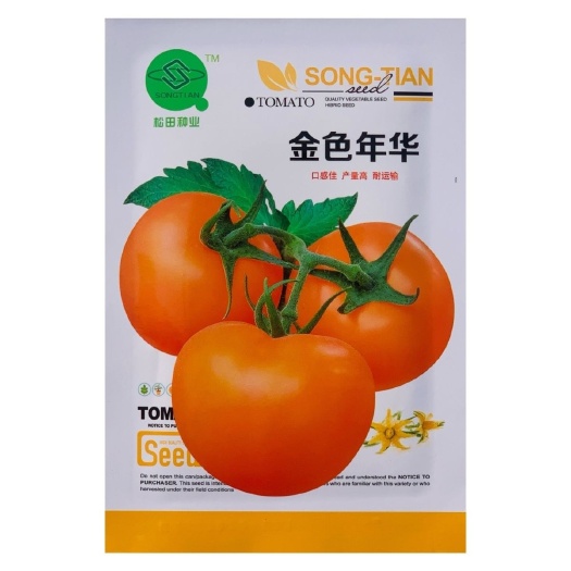 沭阳县松田金色年华黄番茄种子口感好早熟挂果多黄皮抗病大果西红柿种籽