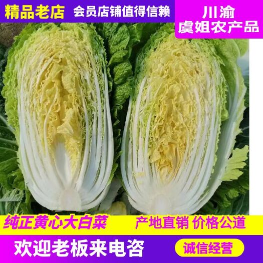 精品黄心大白菜