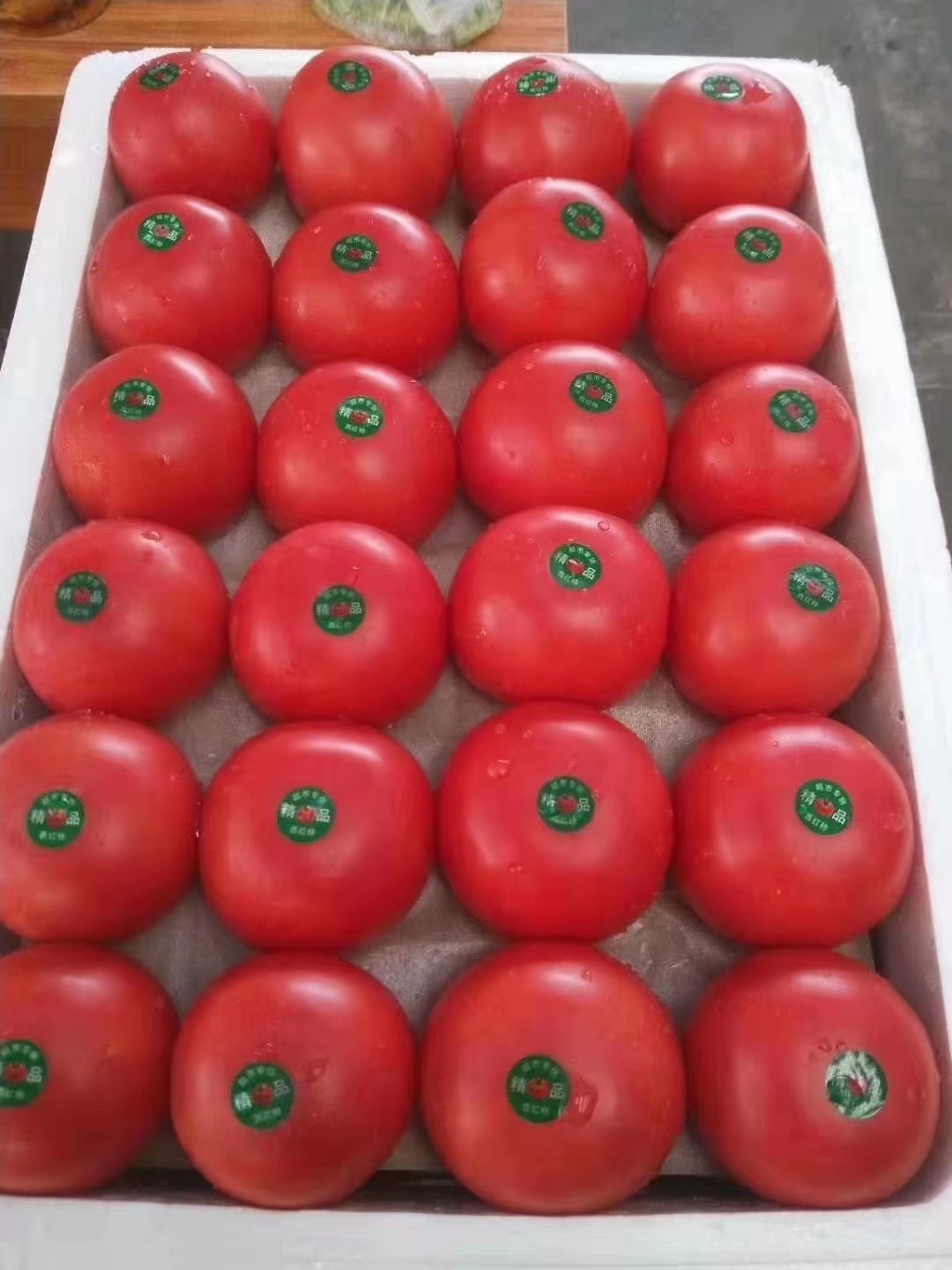 费县山东硬粉暖棚硬粉西红柿大量上市，果型好，颜色好看色泽鲜亮。