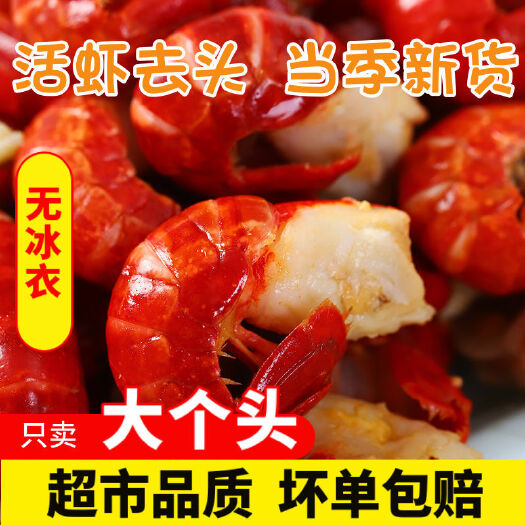 连云港龙虾尾特大无冰衣活虾现剥速冻新鲜活小龙虾尾虾球去头一整箱批发
