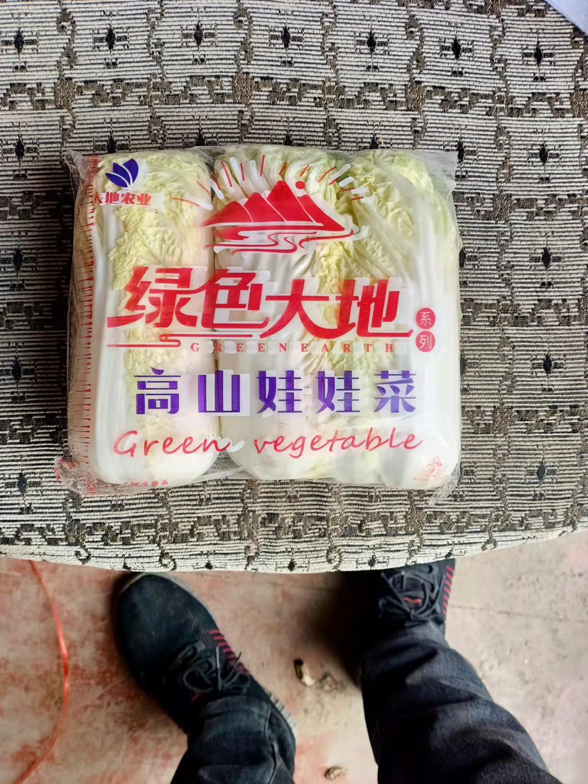 農(nóng)村出身家庭，自家種植娃娃菜白菜產(chǎn)地十畝地，顆顆飽滿實(shí)地考察