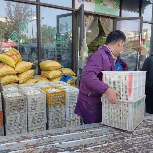 绍兴浙江区域红心鸭蛋出售个个饱满干净