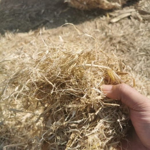 上蔡县精品玉米柔丝小套袋