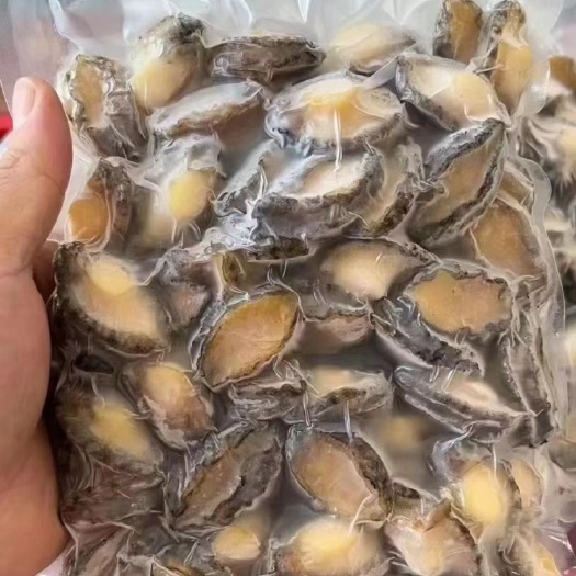 东山县鲍鱼肉鲍鱼纯肉纯肉鲍鱼全规格供应15～20头，20～30头