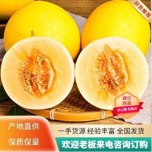 甜瓜，黄金蜜瓜，缅甸黄河蜜，果型好，皮毛金光，香甜可口。