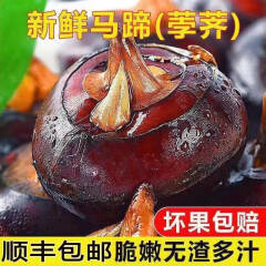 惠州马蹄