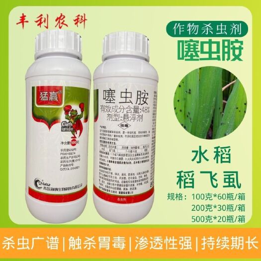 漳州噻虫胺48%葱蛆蒜蛆稻飞虱韭蛆黑头蛆梨木虱农药杀虫剂高效正品
