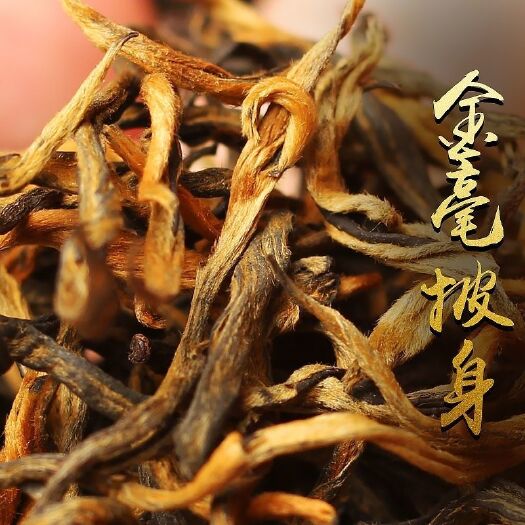 梁河县蜜香滇红茶，云南凤庆县金芽，滇红春茶，蜜香型散装。