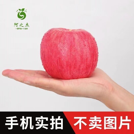 洛川县(阿之杰)陕西洛川红富士苹果带箱5斤装脆甜新鲜水果一级正