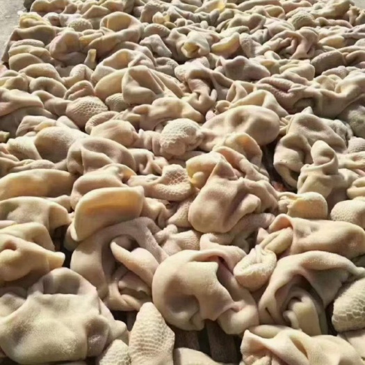 中牟县熟羊肚
