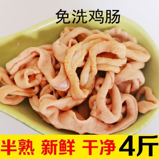 新鲜鸡肠冷冻鸡肠子鸡内脏鸡杂烧烤炒菜卤味新鲜冷冻食品批发