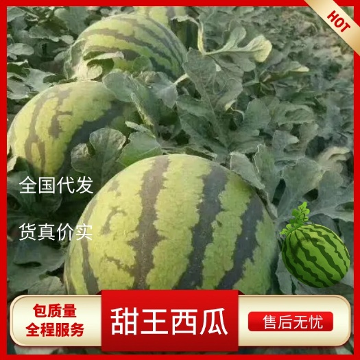 西瓜，云南甜王，糖度高，密度好，口感甜脆，全国发货