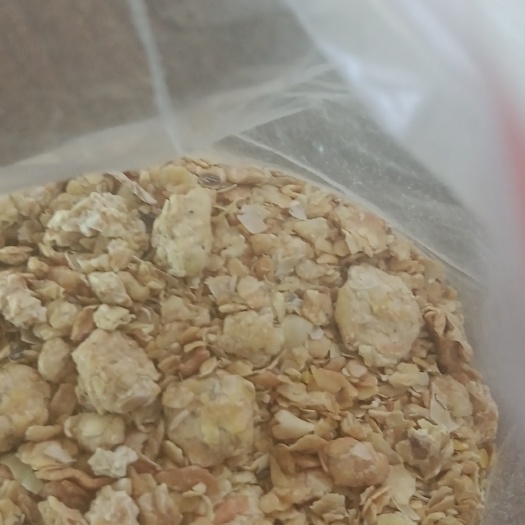 天津港豆粕