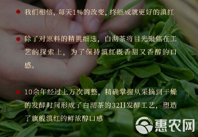 蜜香滇红茶，云南凤庆县金芽，滇红春茶，蜜香型散装。