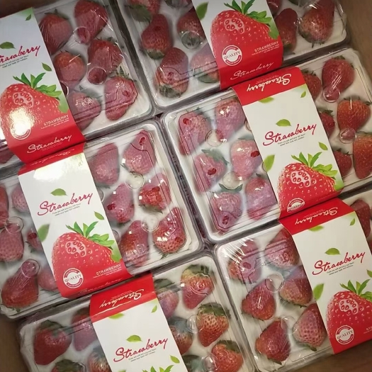 安徽草莓 红颜草莓/一手货源产地直发/商用糖葫芦茶饮蛋糕烘焙