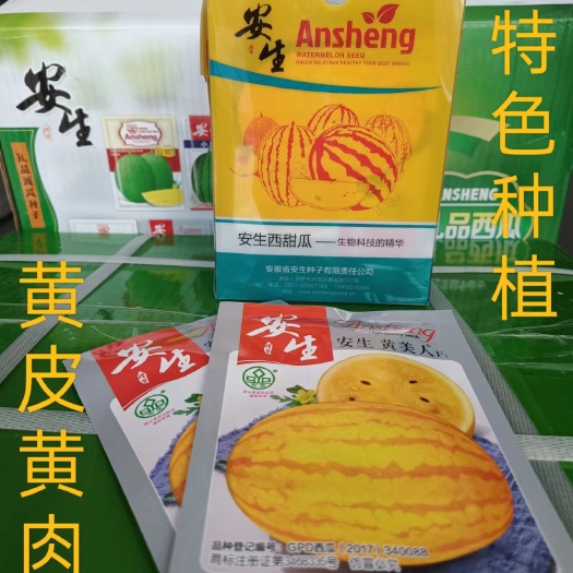 黄皮黄肉西瓜种子特色种植采摘黄皮西瓜种子