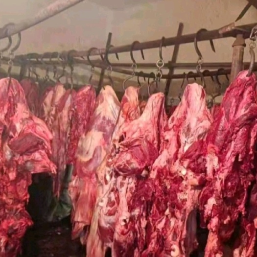 肃宁县全牛肉