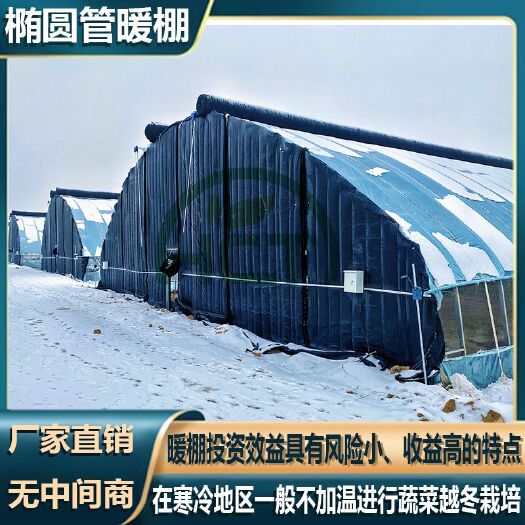 天津种植棚大棚骨架质保十年可支持货到付款