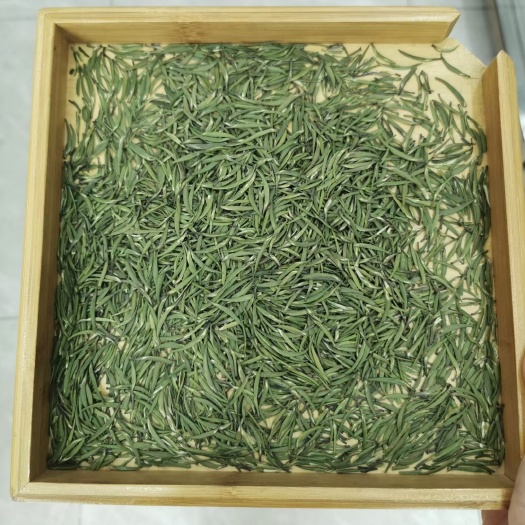 湄潭县明前翠芽