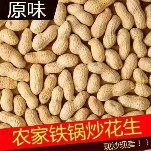 【现炒现发】新货原味炒花生农家铁锅炒熟花生带壳年货批发