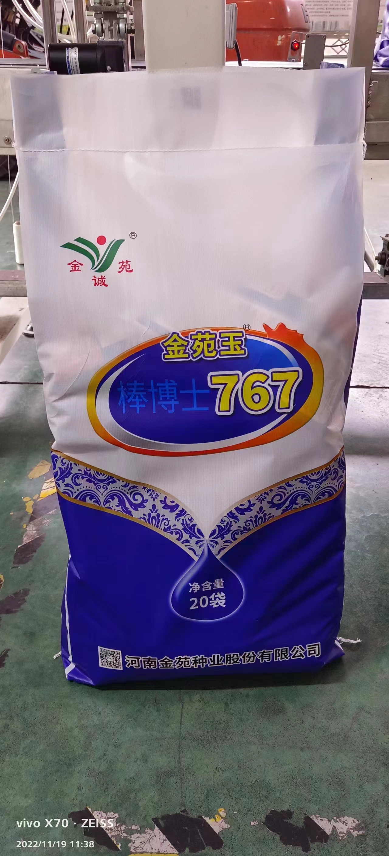 金玉729玉米图片