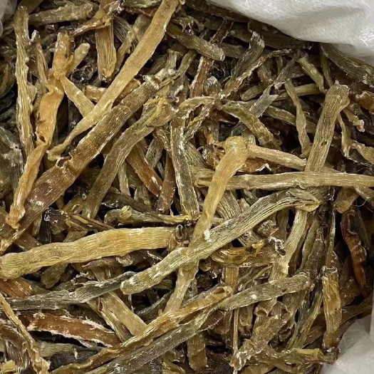 湛江纯淡干特大漂亮沙虫，干沙虫，足干虫干