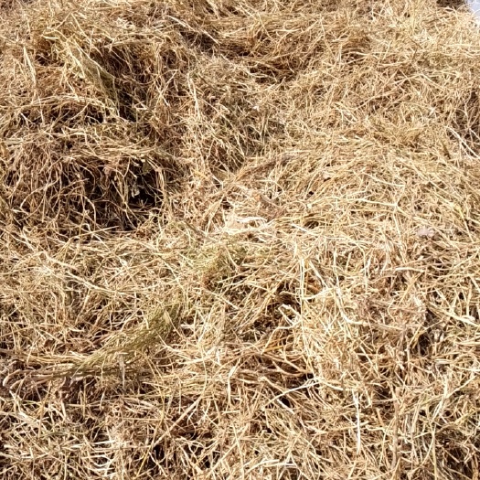 五河县小豆秸秆和大豆秸秆