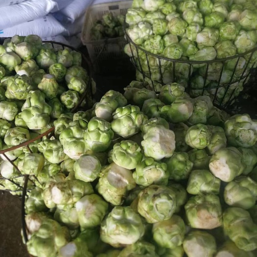 資陽涪陵榨菜，圓形個(gè)頭均勻 不空心
