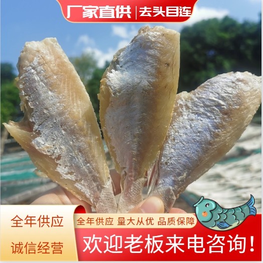 北海目鲢鱼 去头去皮 鱼干 淡晒 9成干 【自家晒场货源】