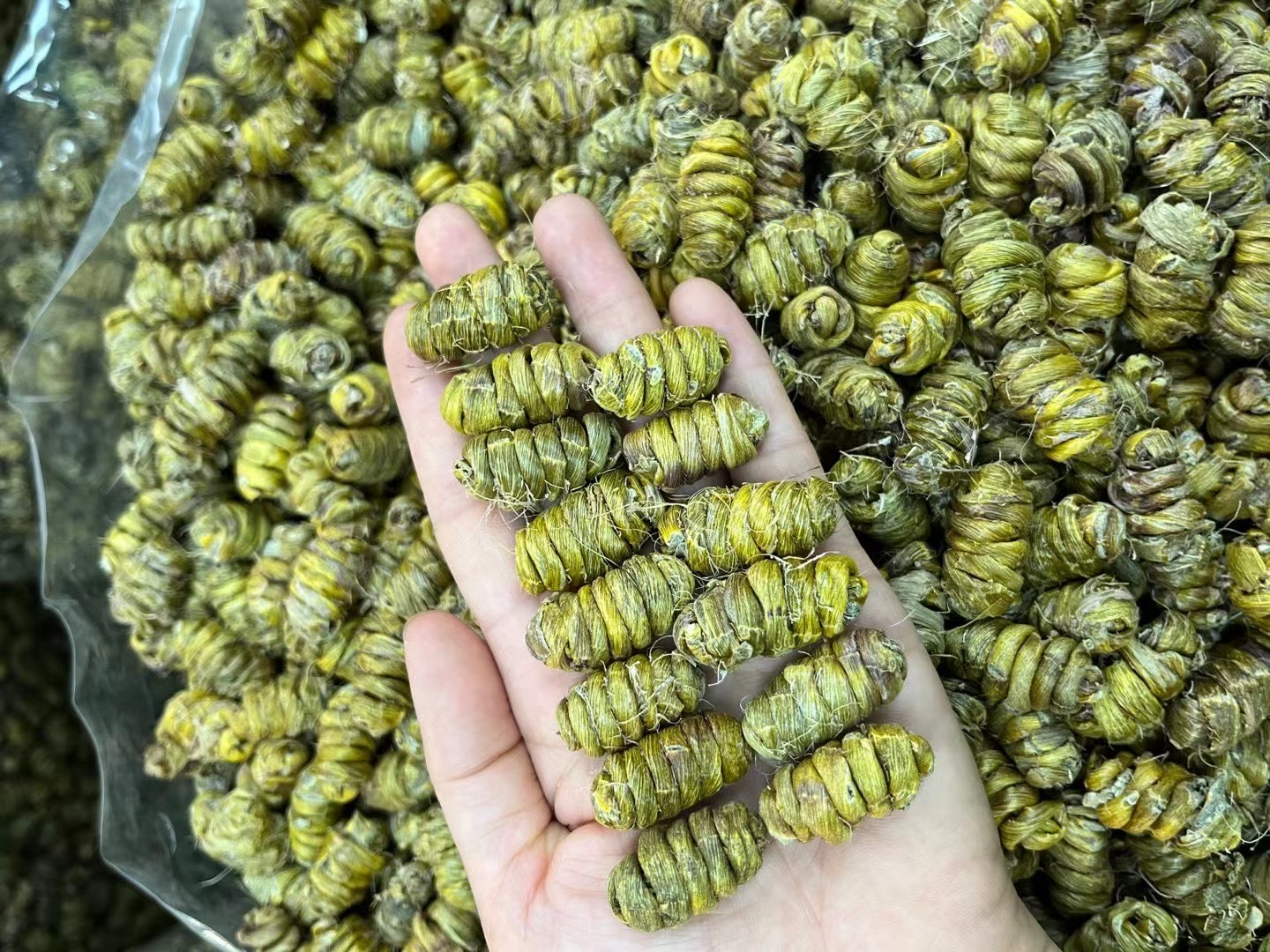 鐵皮石斛霍山鐵楓斗紫皮石斛口感粘稠可禮盒裝