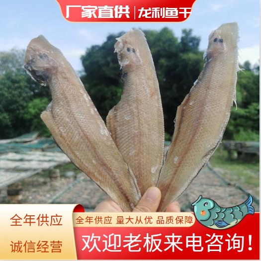 北海龙利鱼干 舌头鱼 子板鱼 干货 鱼干【晒场直销】