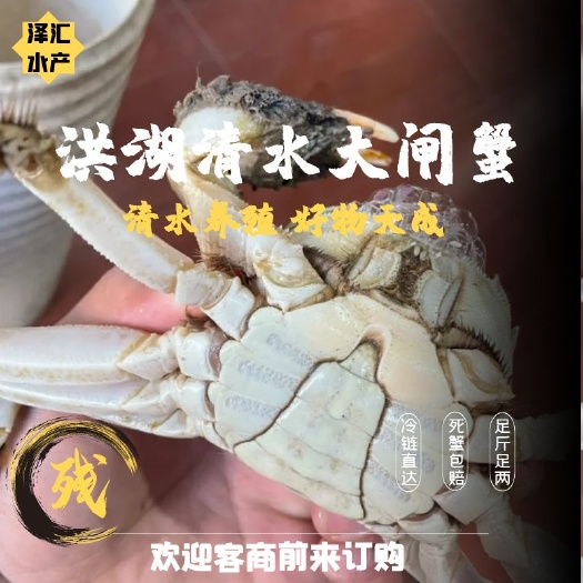 洪湖市【残蟹】2.3两开打，混规格