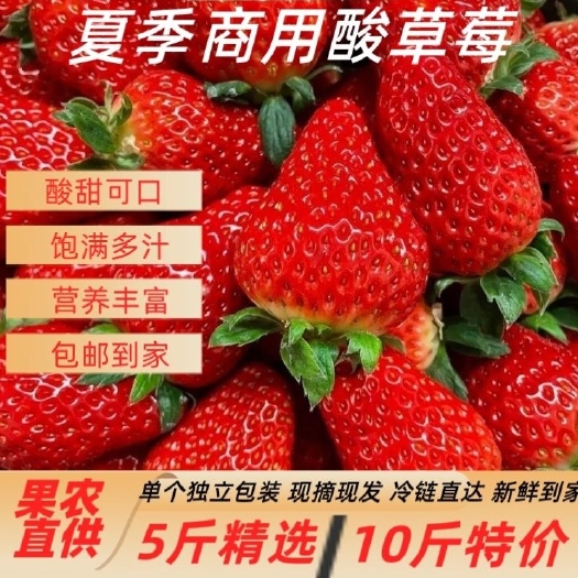 云南草莓四季新鲜商用批发现摘糖葫芦烘焙蛋糕奶茶包邮整箱一整箱