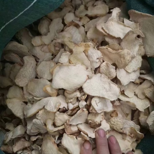 昆明黄精