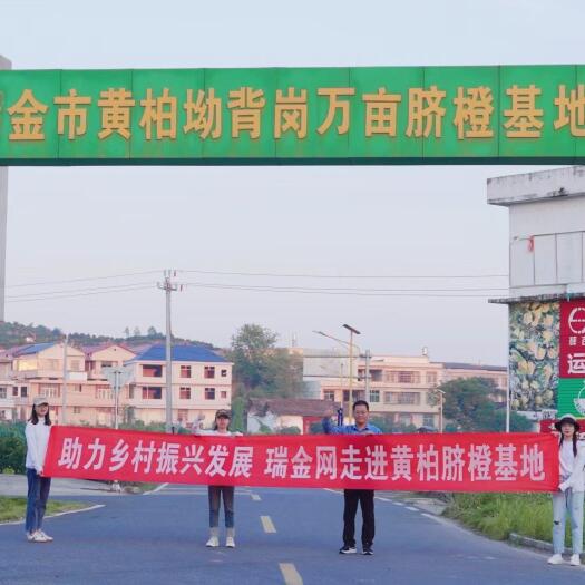 瑞金市脐橙
