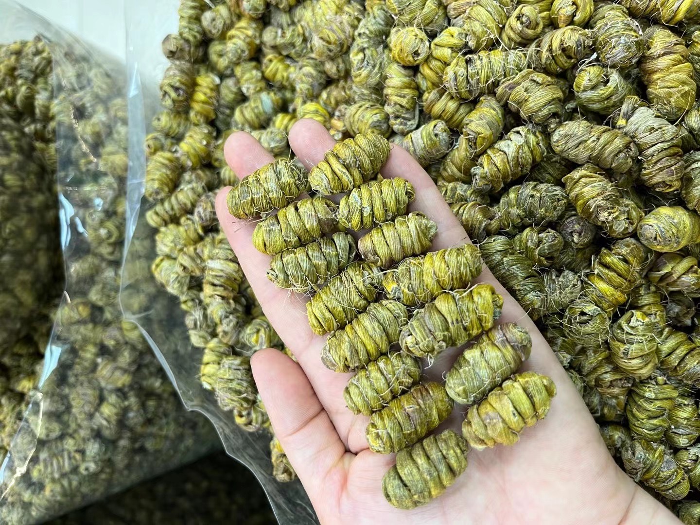 鐵皮石斛霍山鐵楓斗紫皮石斛口感粘稠可禮盒裝