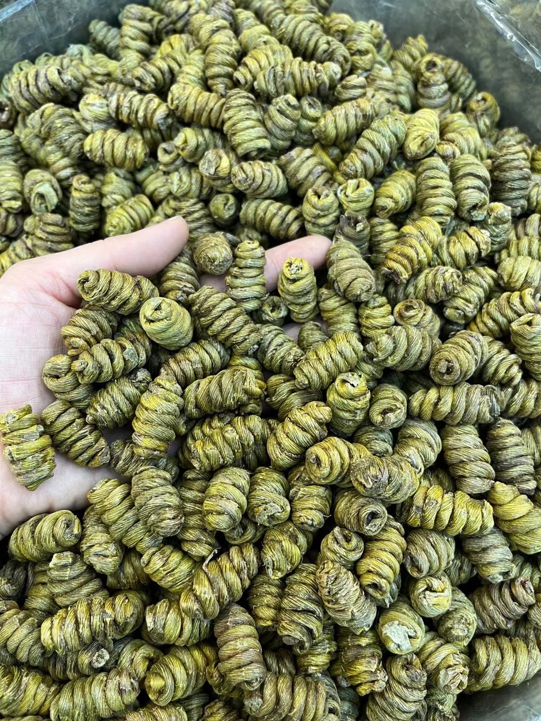 鐵皮石斛霍山鐵楓斗紫皮石斛口感粘稠可禮盒裝