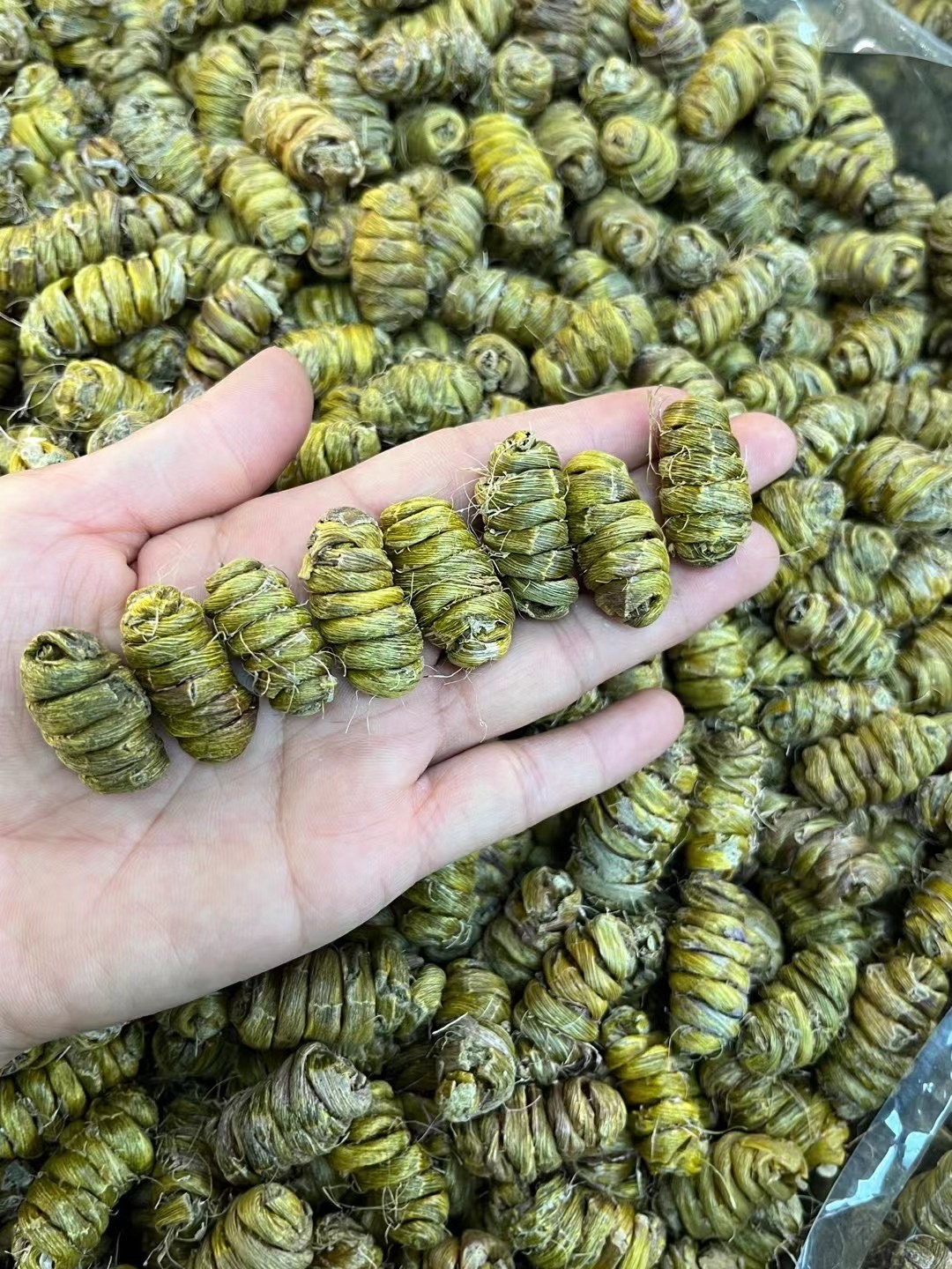 鐵皮石斛霍山鐵楓斗紫皮石斛口感粘稠可禮盒裝
