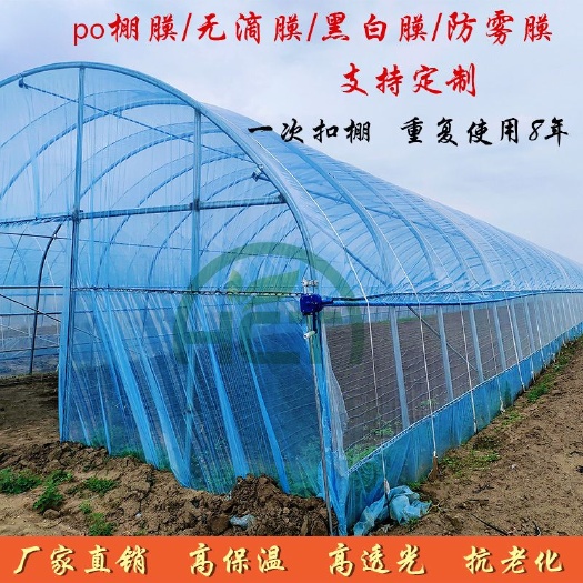 天津温室大棚专用棚膜厂家直销质量有保障防雨保温温室大棚专用棚膜