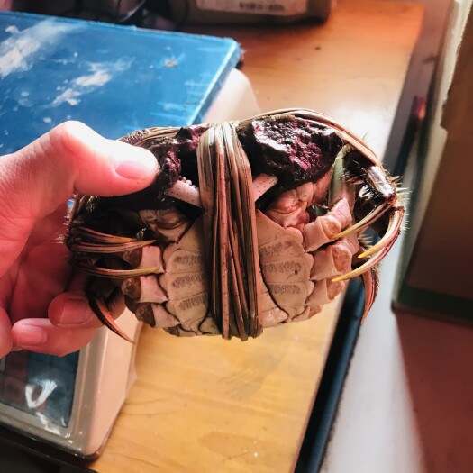 高邮市大闸蟹