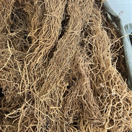 龙胜县长期供应｛牛尾菜牛尾蕨｝可批量可零售量大从优 牛尾菜根干货