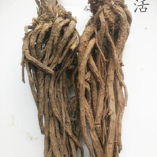宕昌县羌活（黑药）