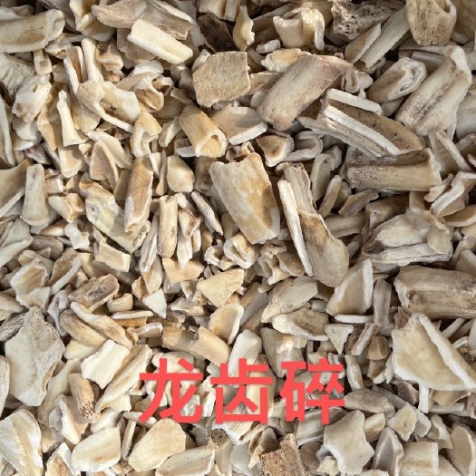 漯河龙齿